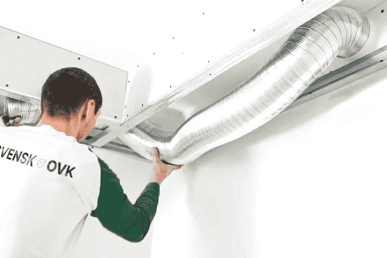 OVK inspection (1)