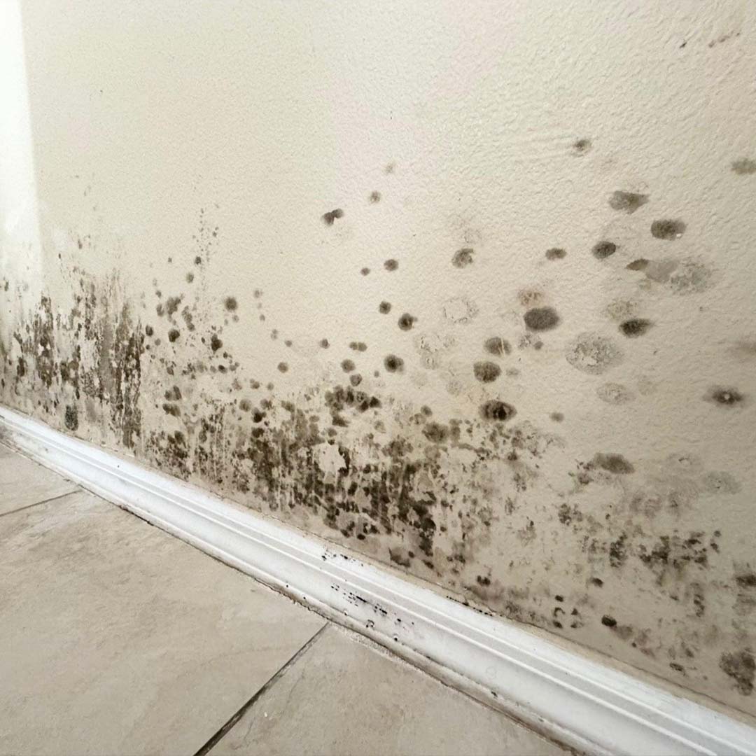 Moisture damage wall interior