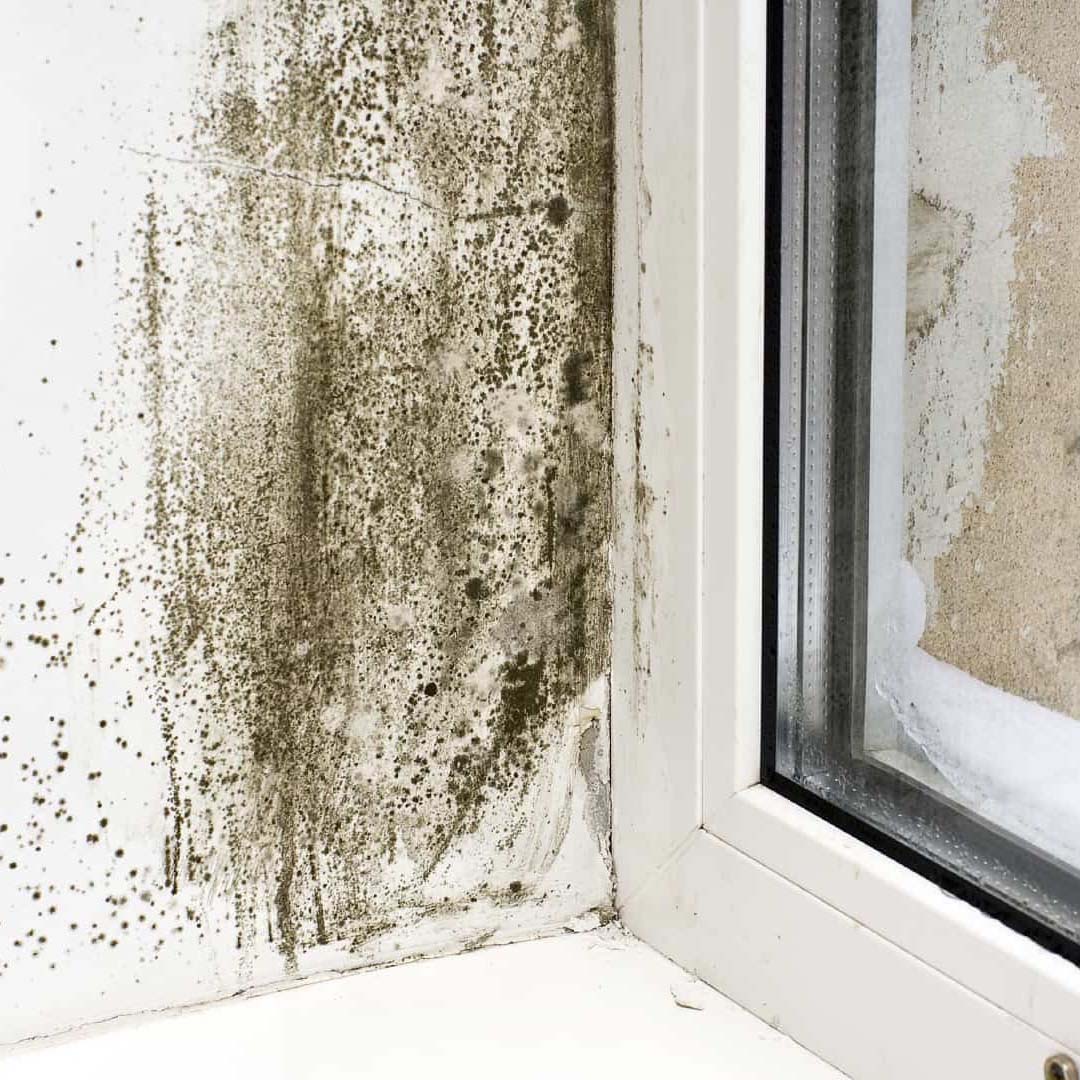 Poor home ventilation condensation window