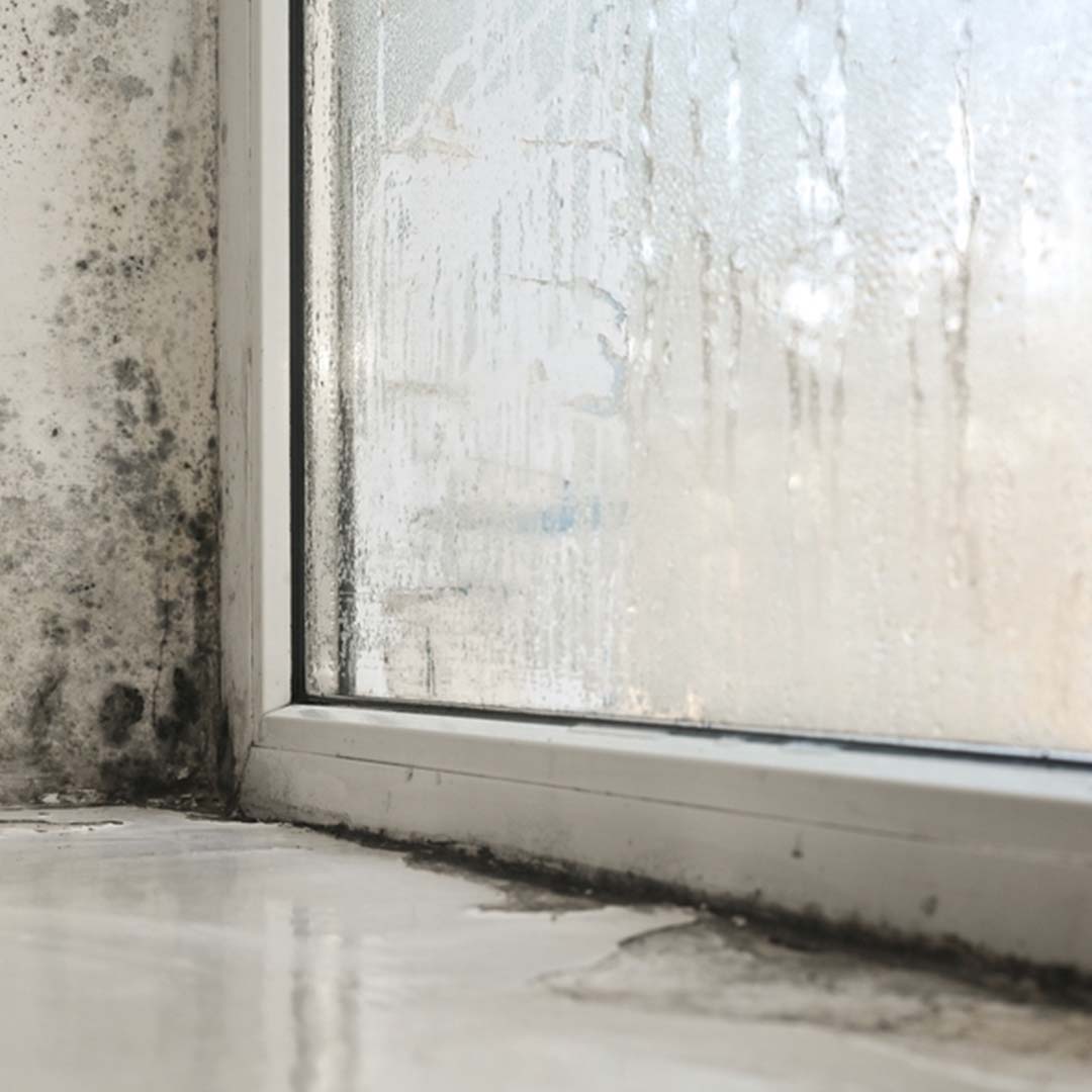 Moisture condensation on window glass, small mold spots